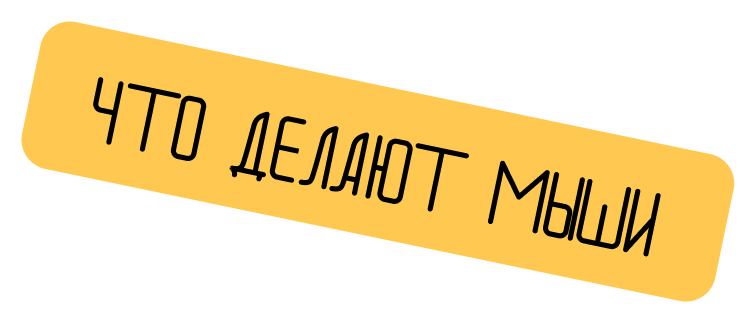 wdm